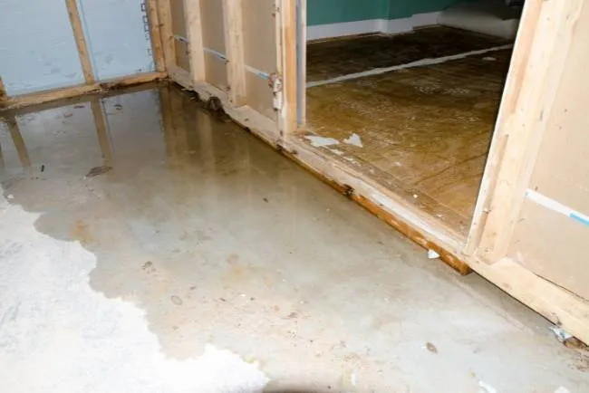Water damage restoration of exposed framing after a leak