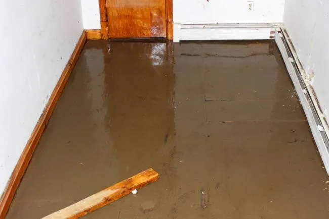 Water damage repair — flooded floor dried and documented for insurance in Winnetka, CA