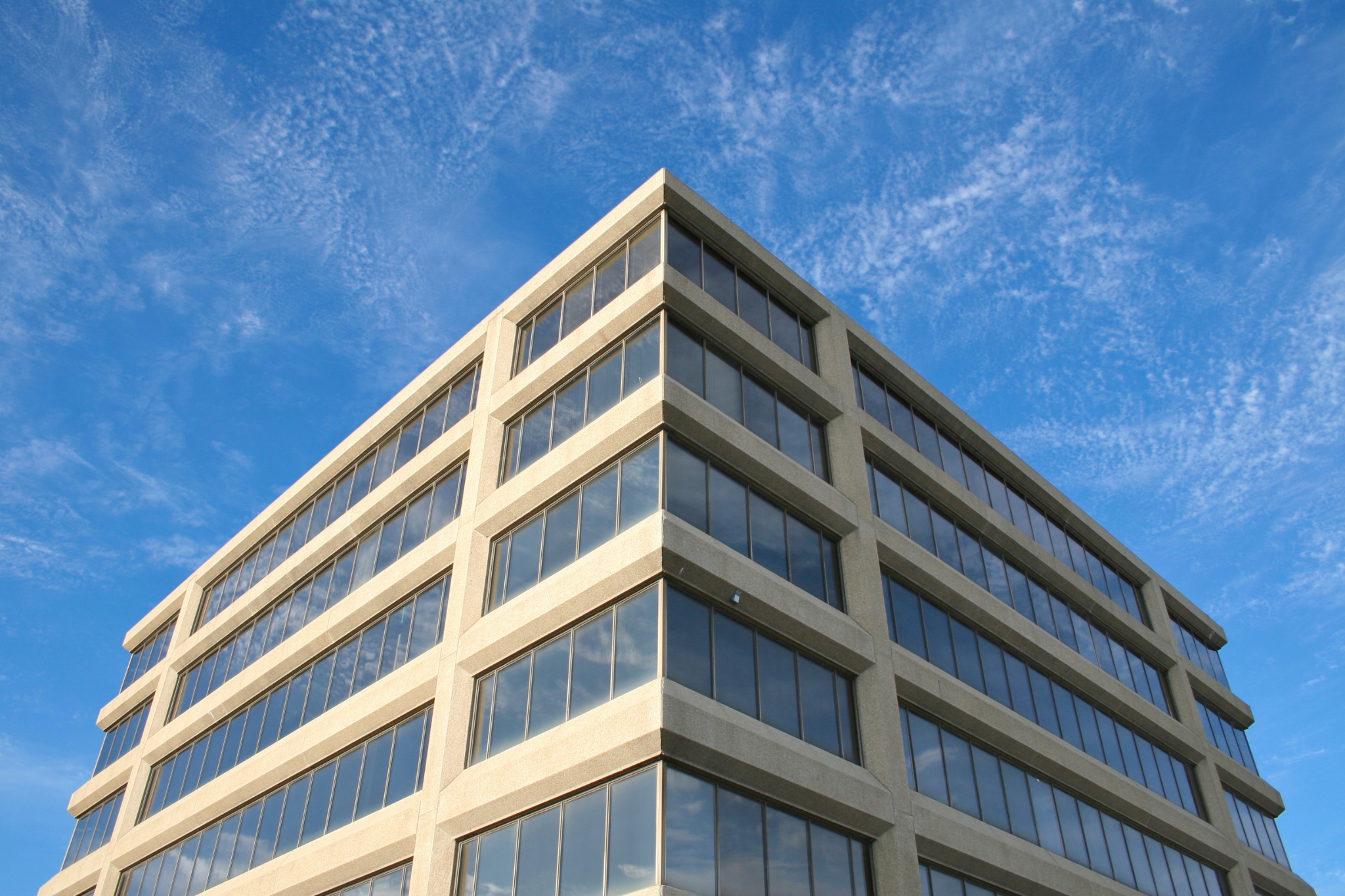 Construction of modern retail space showcasing large windows in urban setting during daytime